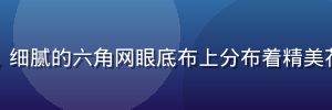 法国香缇蕾丝面料特写，细腻的六角网眼底布上分布着精美花卉图案，质感轻盈透明